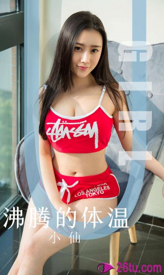 新杨门女将电视剧